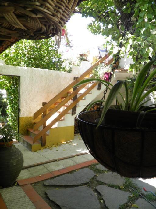 Villa Atlantic Nest Poiares Vila Nova de Poiares Exterior foto